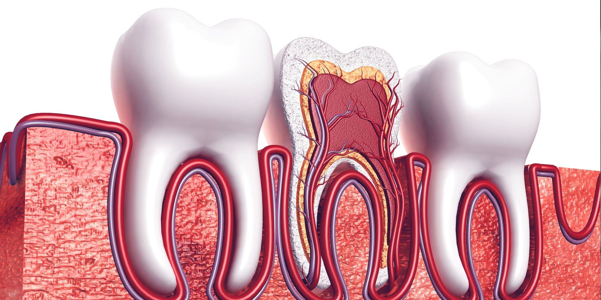 Best Endodontics in Phoenix, Az Root Canal Treatment Near Me
